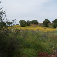 Photo de Espagne - Séville